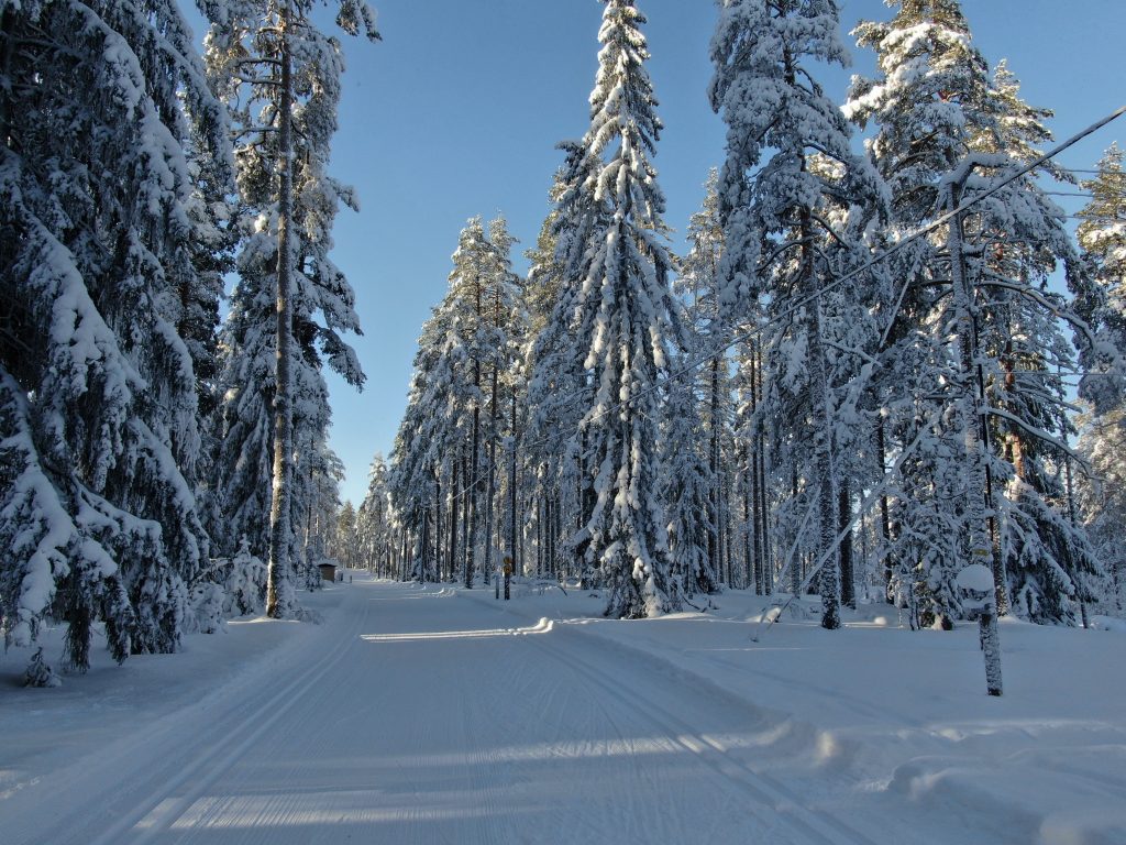 Jämin upeita hiihtomaisemia.