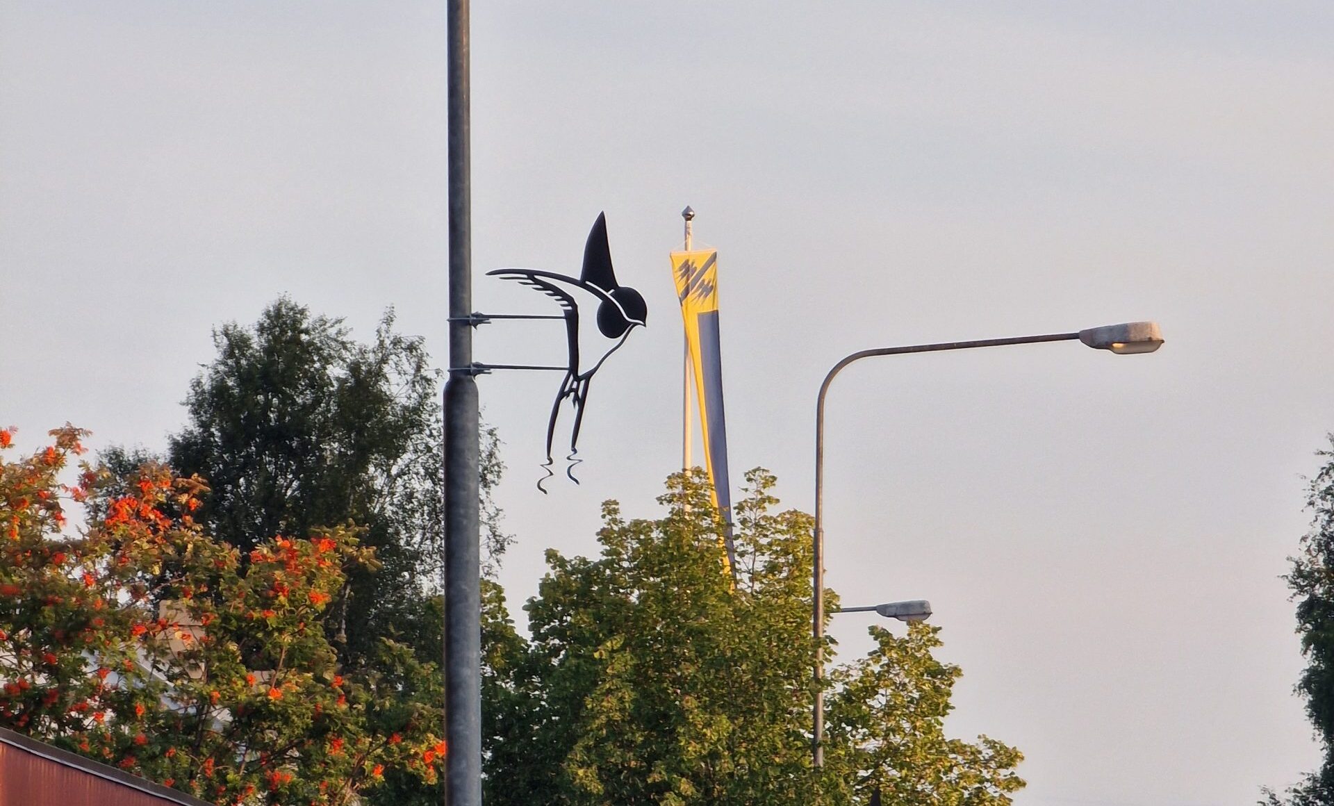 Pääsky valotolpassa keskustassa Jämijärvellä.