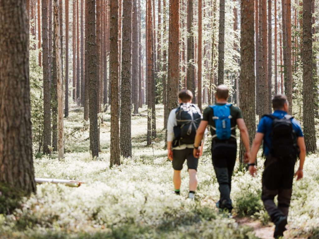 Miehet kävelevät Koivistonkierroksella Jämillä.