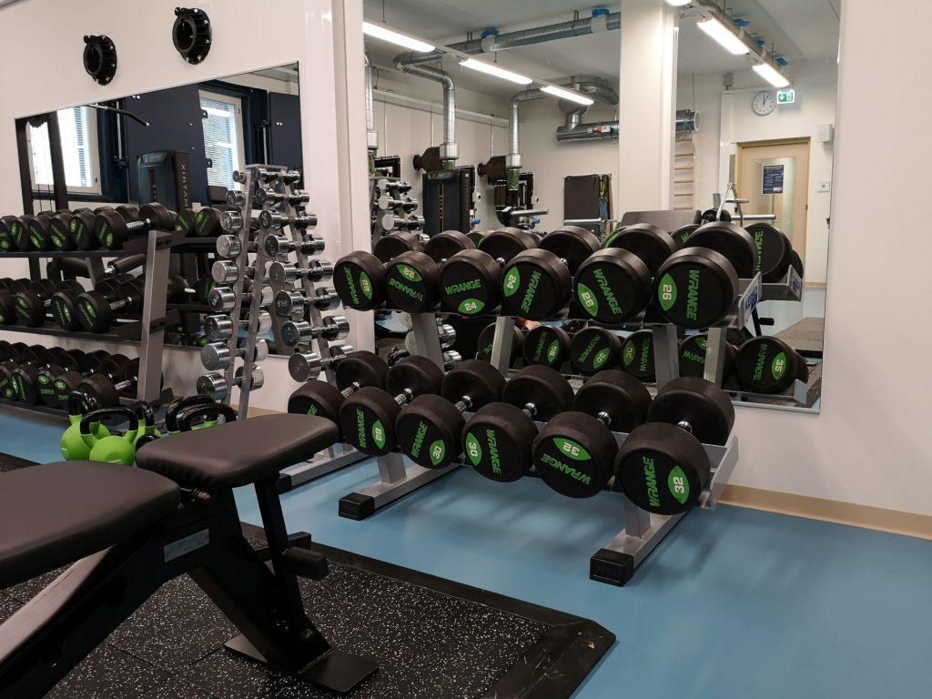 Pääskyn kuntosalin välineitä.