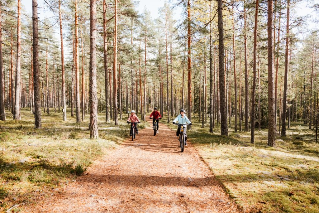 Nainen ja kaksi tyttöä pyöräilevät avoimessa mäntymetsässä aurinkoisena syyspäivänä.
