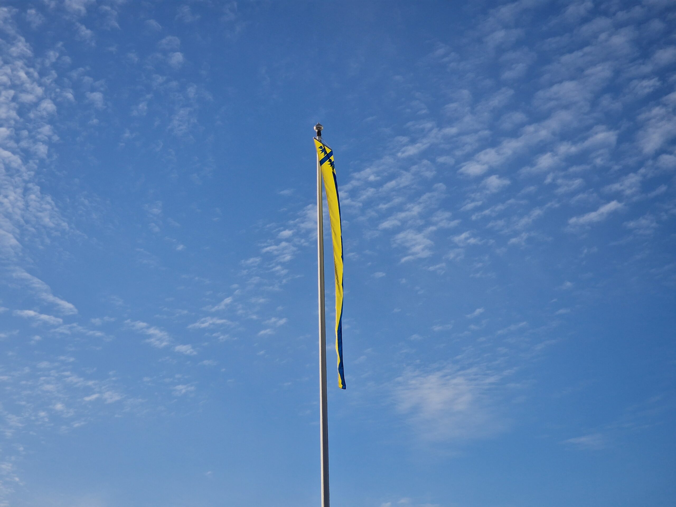 Jämijärven viiri