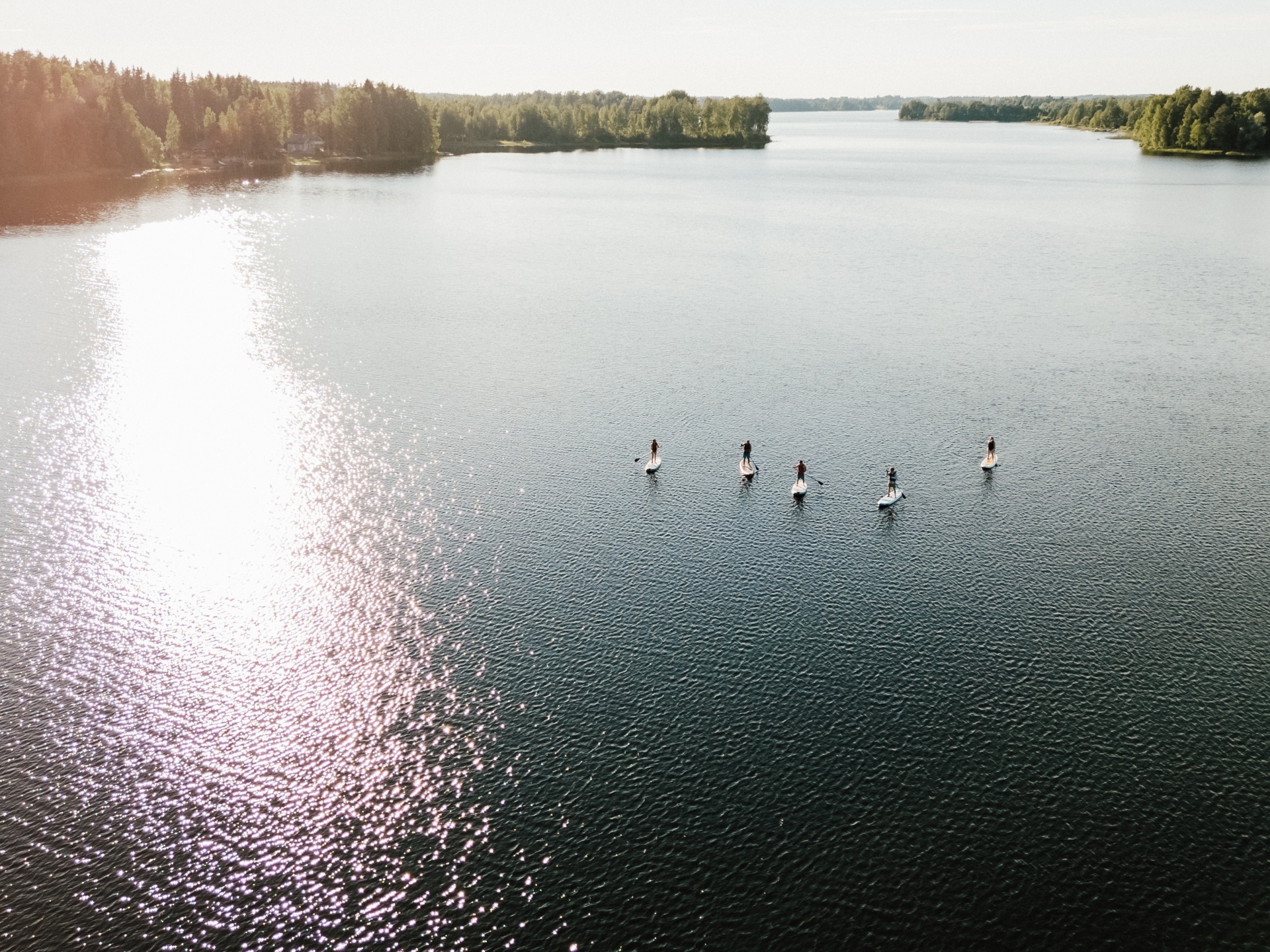 Viisi SUP-lautailijaa järvenselällä aurinkoisena kesäpäivänä.