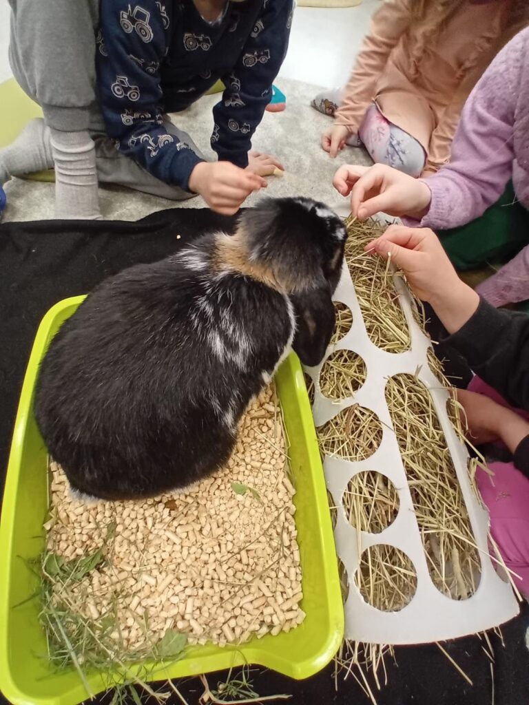 Lapset ruokkivat kania heinällä.