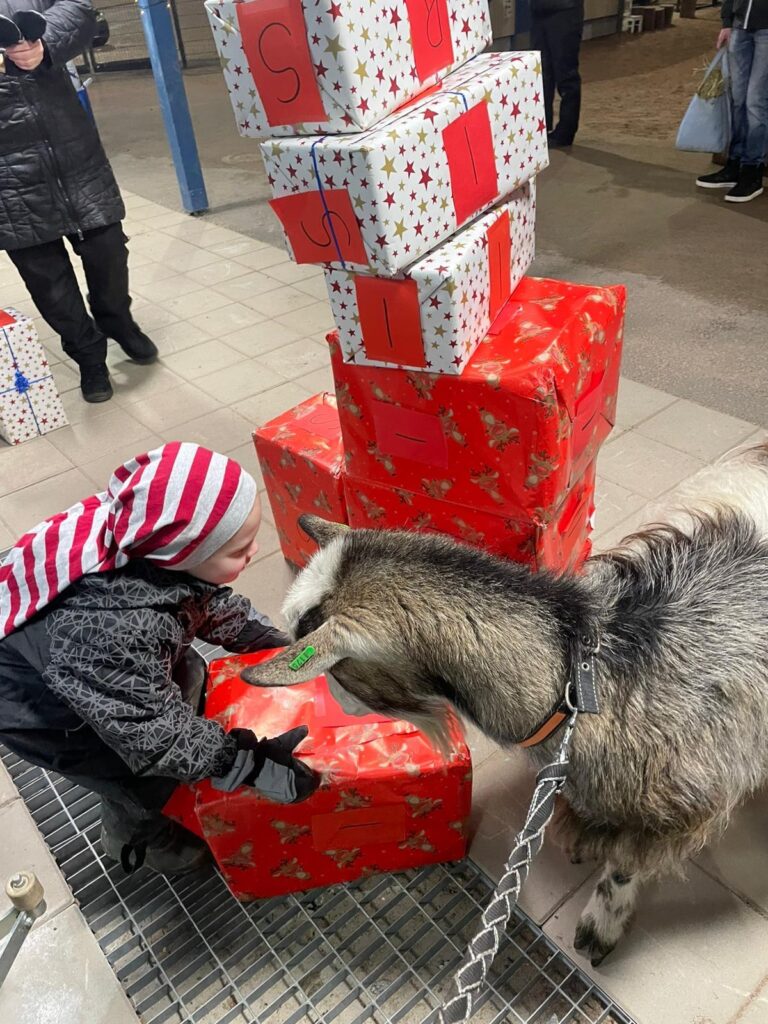 Lapsi, vuohi ja joulupaketteja.