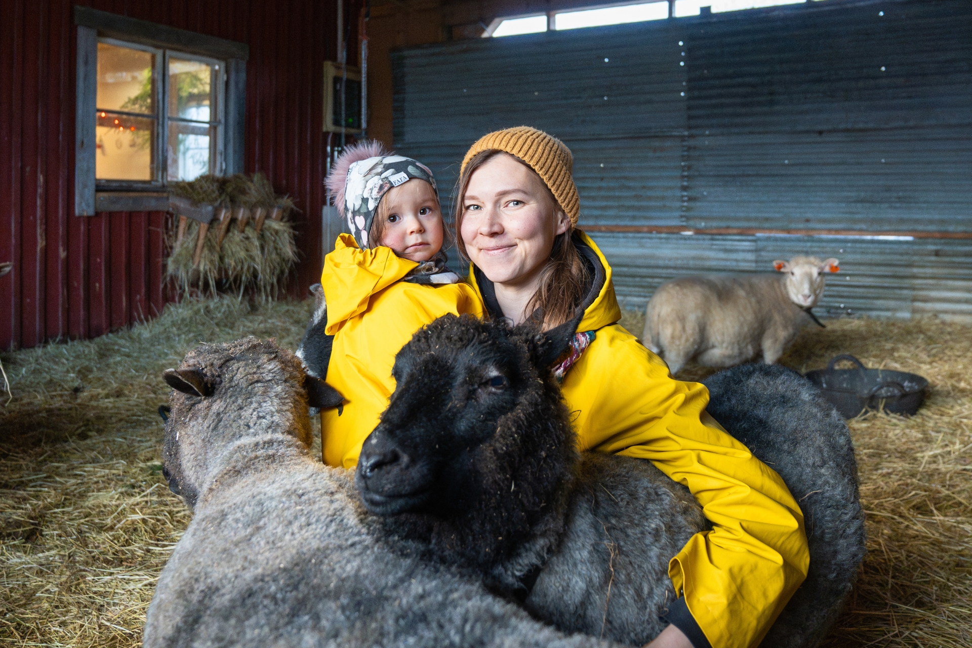 Nainen pieni lapsi sylissään kyykistyneenä lampaiden viereen lampolassa.